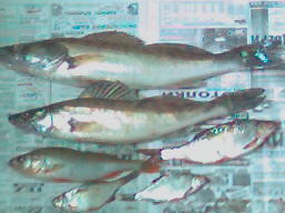 080906_132350.jpg