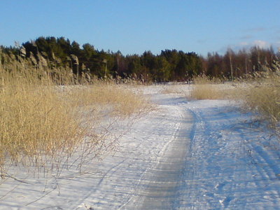 DSC00115.JPG