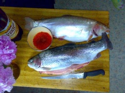 230620112136.jpg