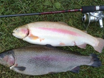 280920113531.jpg