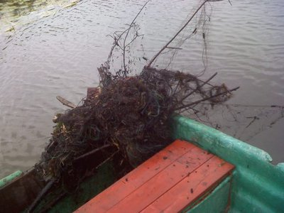 IMG088.jpg