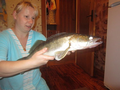 IMG_1457.jpg