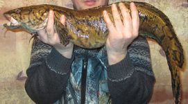 IMG_3883.JPG