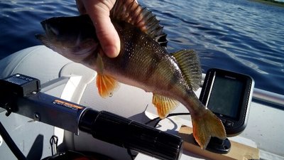 IMG_20160831_145339-640x360.jpg