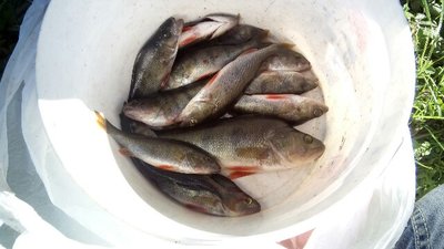 IMG_20160831_164914-640x360.jpg