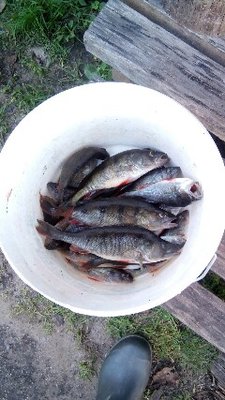 IMG_20160905_172315-240x427.jpg