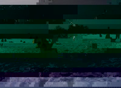 21-03-10_1408_cut_90%.JPG